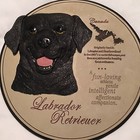 Labrador Retriever 3 - D Wall Hanging/Plaque Black Lab ~Stepping/Garden Stone