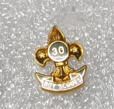 30 Year Volunteer Service Award Boy Scout Gold Fleur des Lis Larger Version  Y30