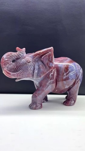 1pc natural ocean jasperquartz crystal engrave Elephant skull healing gift decor - Video 1 of 1