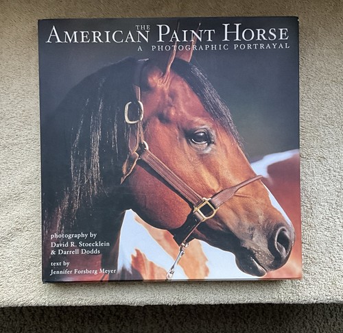 American Paint Horse : A Photographic Portrayal