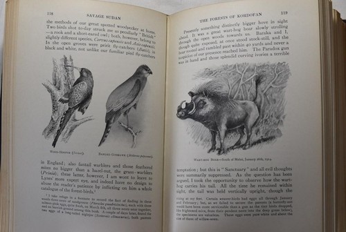SAVAGE SUDAN Abel Chapman 1921 Africa Big Game Hunting Wild Tribes Nile Kordofan - Picture 2 of 7