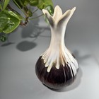 Foto 2 di 6