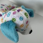 Bild 7 von 7