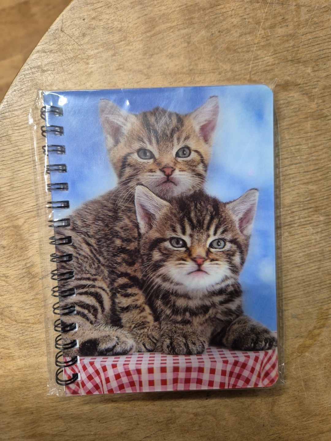 TABBY KITTENS notebook Tabby cats Notebooks Tabby Cat lined A6 Notepad kitten