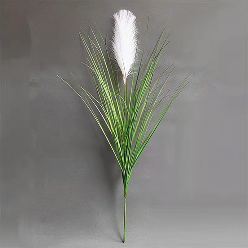 Bild 9 von 9