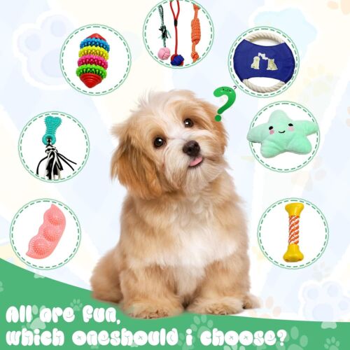 Hundespielzeug21 Pcs Set Hunde Kauspielzeug Seil Ball Hunde Robuste Zähne Kauen - Bild 7 von 7