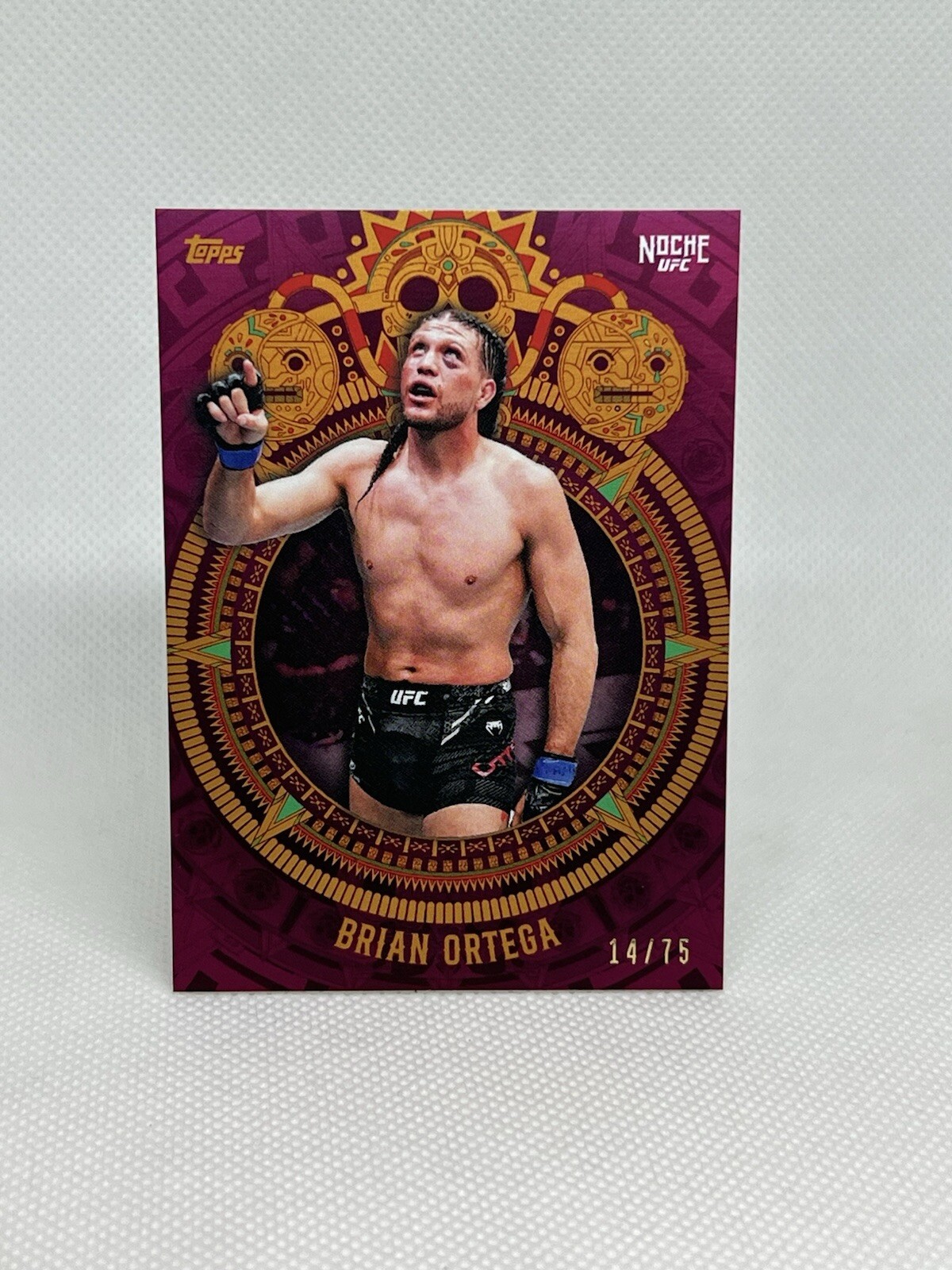 2024 Topps Noche UFC BRIAN ORTEGA Pink Parallel /75