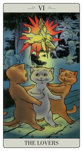 The way Jodorowsky explained Tarot to his Cat - book and 22 cards - Picture 2 of 6