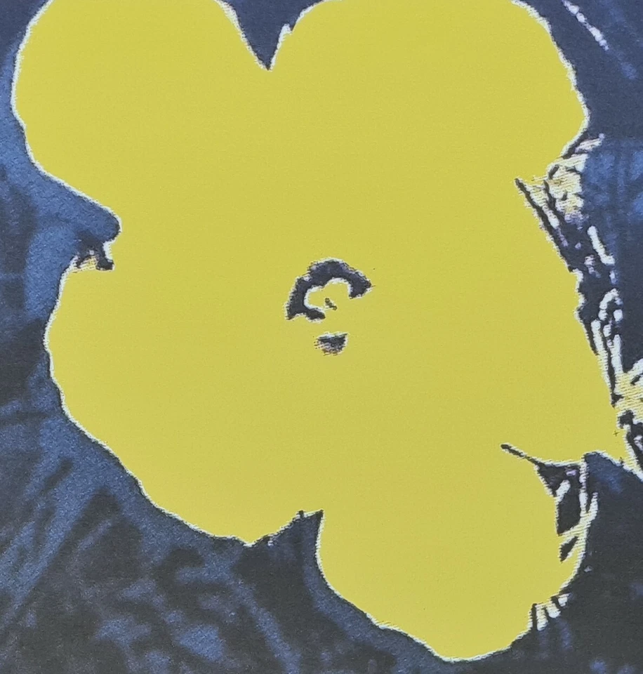 ANDY WARHOL * Flowers * lithograph * limited # xx/2400 CMOA signed - Bild 4 von 4