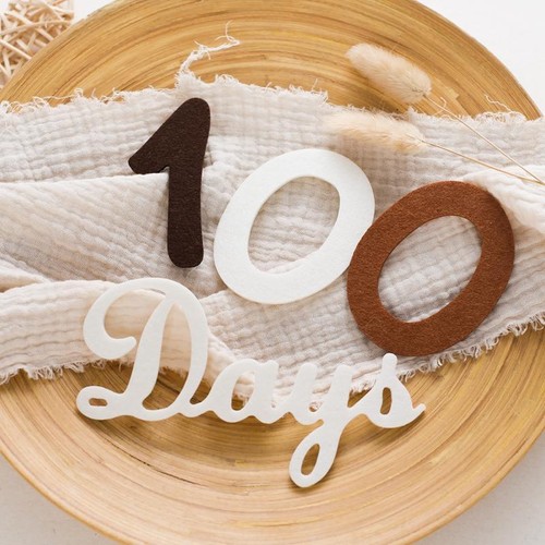 Baby Milestone Cards Soft Felt 0-12 Monthly Memorial Commemorativenir Newborn - Bild 15 von 24