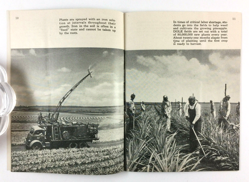 Tarjeta y folleto de visitantes Dole Hawaiian Pineapple Facility Honolulu Hawaii 1944 - Imagen 7 de 12