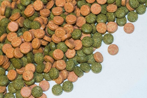 Mixed Tropical Fish Food Tablets For Bottom Feeders Shrimp Snail Pleco Tetra - Picture 7 of 8