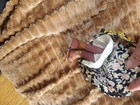 Bild 3 von 3