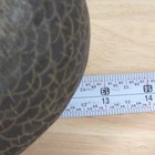 Foto 12 di 13