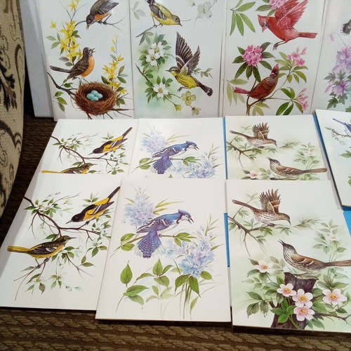 15 Vintage Unused Embossed Happy Birthday Card Lot A Sunshine Card Birds Rare - Picture 10 of 15
