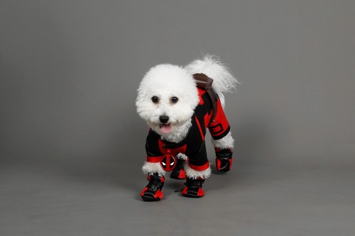 New Dogpool Cosplay Deadpool 3 Wade Wilson Outfit Stretchy Costume Halloween - Picture 3 of 12