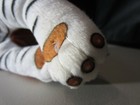 Foto 11 di 12
