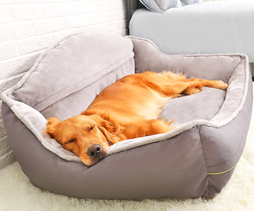 Dog Pet Cat Calming Bed-Beds Large Mat Comfy Puppy Fluffy-Donut Cushion Plush - Picture 5 of 7