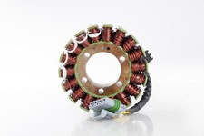 Rick's Motorsport Electric 27-21564 21-564 STATOR