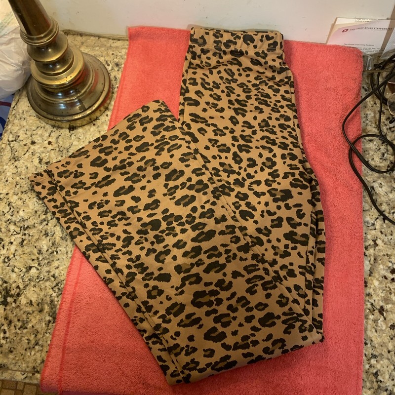 FOREVER 21 LEOPARD PRINT KNIT PANTS SIZE M ELASTIC WAIST FLARE NEW SALES SAMPLE