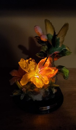 Color Changing Hummingbirds Feeding from Hibiscus Flowers Montefiori Collection - Afbeelding 7 van 14