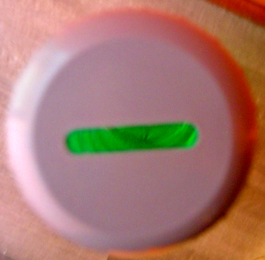 Picture 6 of 6