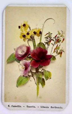 Rare CDV Photo Flower Bouquet Hand Tinted Still Life F Fridrich Prague Austria 
