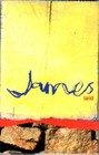 James - Laid Cassette Tape Single 90s Alternative Pop Rock