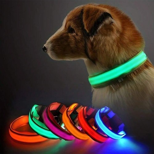 LED Dog Pet Collar USB Rechargeable Flashing Luminous Safety Night Light Up - Picture 7 of 29