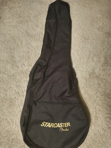 starcaster gig bag