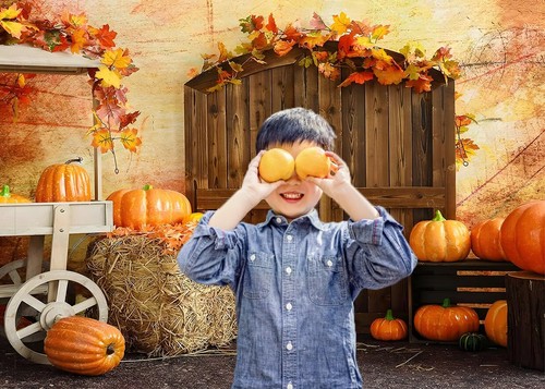 8X6FT Fall Thanksgiving Backdrop Thanksgiving Photo Backdrop Autumn Harvest P... - Picture 5 of 7