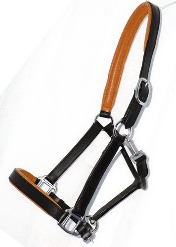 FSS Cuero POSH Confort Acolchado Classy Show Halter Headcollado TODO COLOR ACOLCHADO - Imagen 15 de 21