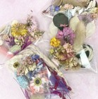 Crafting Packet of Dried Flowers & Petals for Art Resin Crafts Real Petals