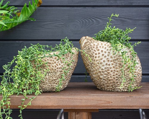 Florero maceta terrosa texturizado botánico inusual de jaca decoración de jardín - Imagen 8 de 10