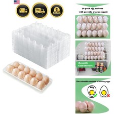 Egg Cartons Bulk Pack 40 Clear Food Grade Reusable Holds 12 Eggs