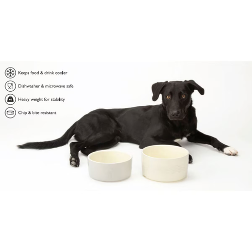 Stylish Scruffs Dog Food & Water Bowl Set for Happy Pups - Picture 11 of 11