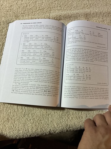 Understanding the Chinese Language : A Comprehensive Linguistic Introduction by - Picture 18 of 19