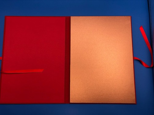 Gustav Klimt Portfolio Femmes - Exemplaire unique 12 planches Epson digigraphie® - Picture 6 of 22