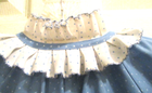 Bild 12 von 12