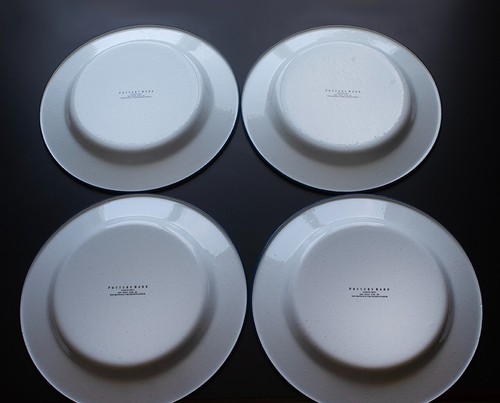 Pottery Barn White Enamel Plates Set of 4 11.75” Blue Rim Camping RV Dinner - Picture 2 of 9