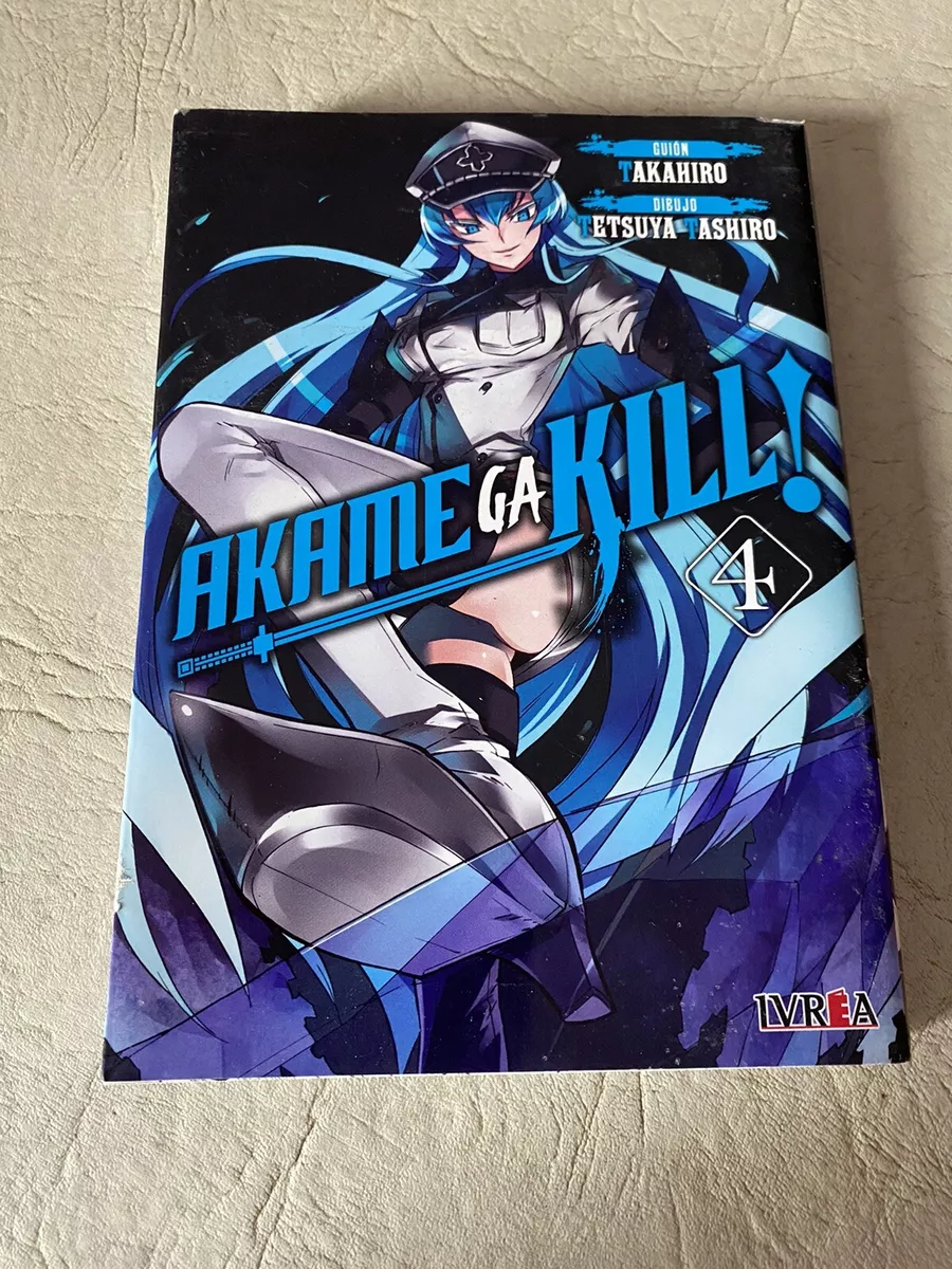 UNUSED BOOK AKAME GA KILL #4 TAKAHIRO TETSUYA TASHIRO IVREA SPANISH  LANGUAGE