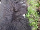 Bild 8 von 9