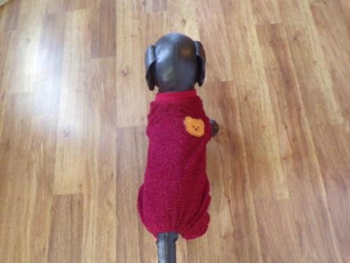 pet dog pajamas, wine red, stretchy, cozy, "teddy", XXS *(read size details) - Picture 4 of 6