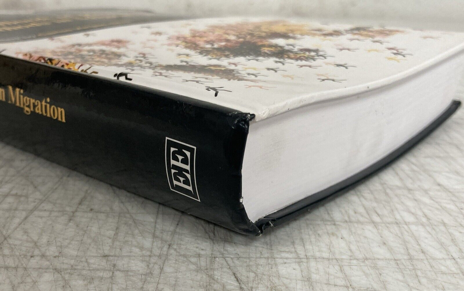 Bild 12