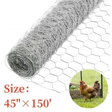 2" Holes 48"×150' Galvanized Poultry Net Metal Fencing Chicken Wire High Quality