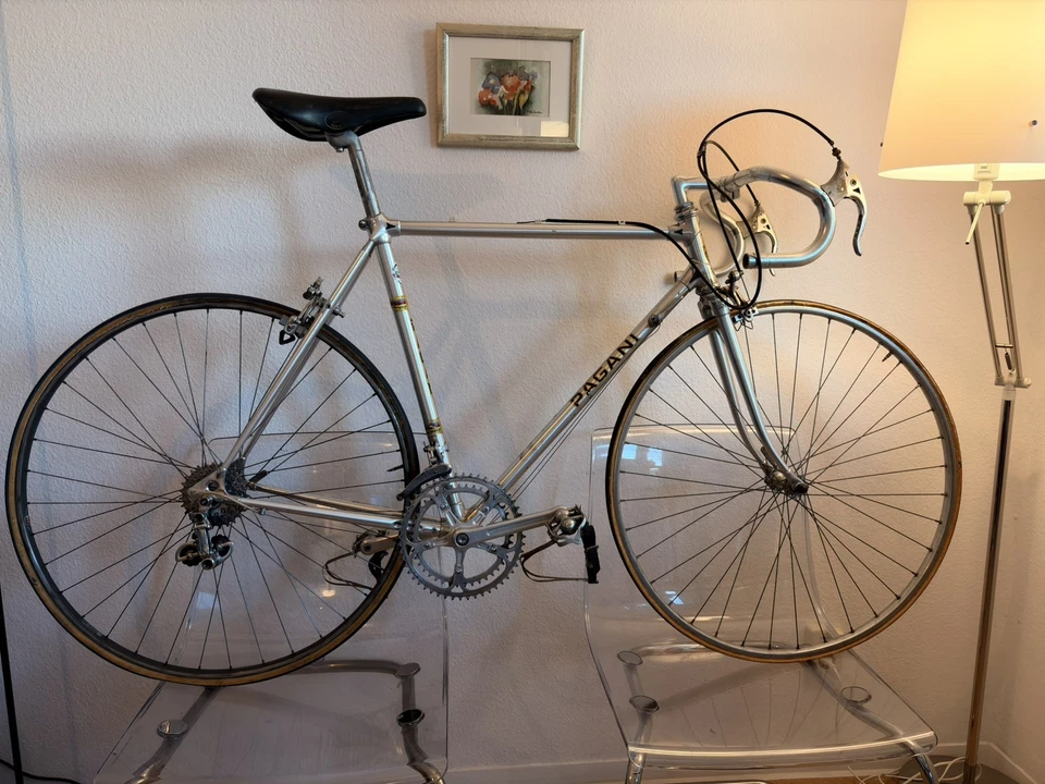 Alan Super Record Vintage Rennrad 1979 mit Zeus criterium Gruppe