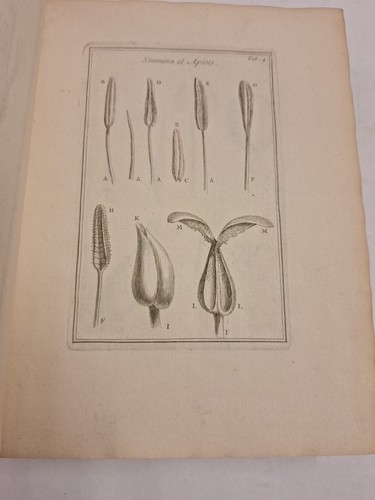 JOSEPHI (JOSEPH) PITTON 1700, 3 BÄNDE TOURNEFORT INSTITUTIONES REI HERBARIAE - Bild 11 von 22