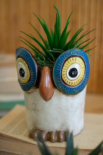 Owl Planters Pot Flower Garden Succulent Herb Plant Ceramic Birds ~ Set Of 3 - Picture 4 of 6