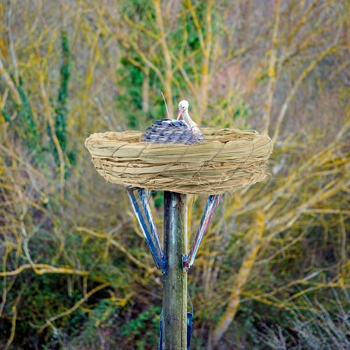 Bird's Nest Rabbit's Hand-woven Nests Dove House Birds Hatching Parakeets - Picture 6 of 12