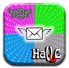 CORNHOLE BAGS PRO ( set of 4 )